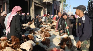 إقبال كبير على «الأضاحي» في سوريا هذا العام بعضها «نذور سقوط النظام»