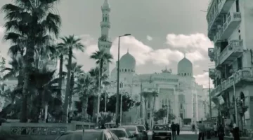 فيلم تسجيلي حول العمارة الأندلسية في مسجد «المرسي أبو العباس»