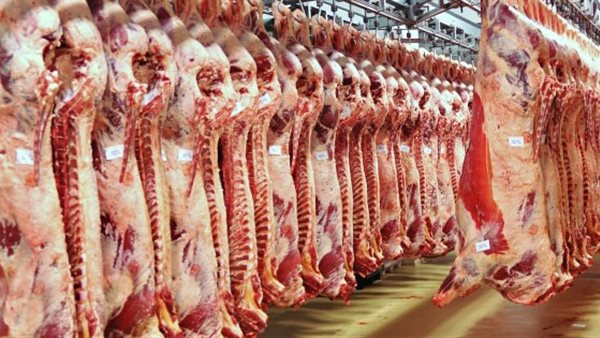 عاجل.. فتح منافذ المجمعات الاستهلاكية لطرح منتجات اللحوم للمواطنين.. تعرف على الأسعار