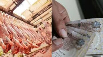هل يجوز إخراج أموال أو لحوم بدلا عن الأضحية؟.. أمين الفتوى يجيب