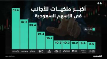 %63 من استثمارات الأجانب بسوق الأسهم السعودية الرئيسة تتركز في 10 شركات قيادية