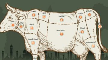 دليلك الشامل لقطعيات اللحوم والطرق المناسبة لطبخها