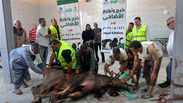 ذبـ.ح وتوزيع 230 رأس ماشية على الأسر الأولى بالرعاية