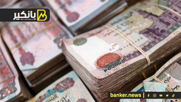 ما هي أبرز القطاعات التي تحصل على تسهيلات ائتمانية في البنوك؟