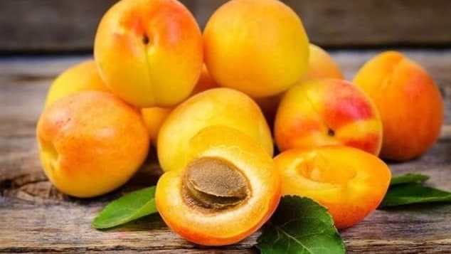 يحمى من فقر الدم وهشاشة العظام .. اعرف فوائد المشمش الشهي