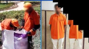 ضبط شخصان بسبب وضع كلاب داخل أجولة بلاستيكية