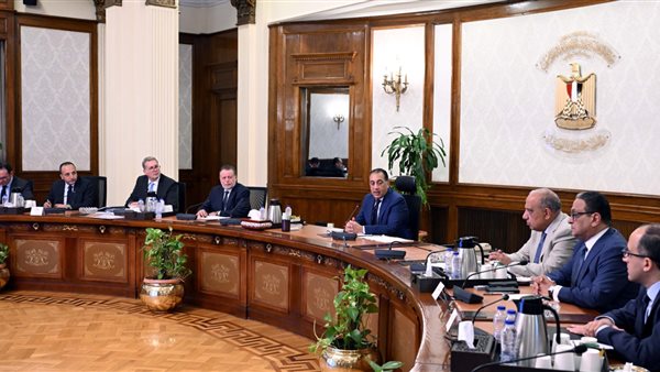 عاجل.. رئيس الوزراء يتابع خطة توفير مخزون مطمئن من المواد البترولية والغاز الطبيعي