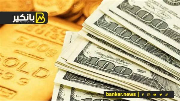 ايه اللي هيحصل في مصر بعد اشتعال المنطقة.. مصير الدولار والدهب والسلع.. أكذوبة منصات الشر حولين أرض المالية… نبوءة البنك الدولي السارة لمصر