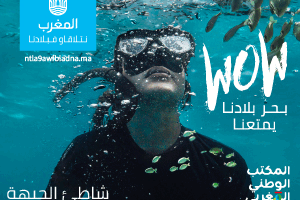 ✓ غامبيا تشيد بمصداقية الحكم الذاتي ودينامية التنمية بالصحراء