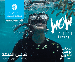 ✓ غامبيا تشيد بمصداقية الحكم الذاتي ودينامية التنمية بالصحراء