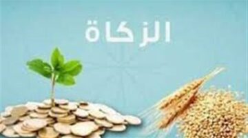 ما أسهل طريقة لحساب زكاة الزروع والثمار؟.. الإفتاء توضح
