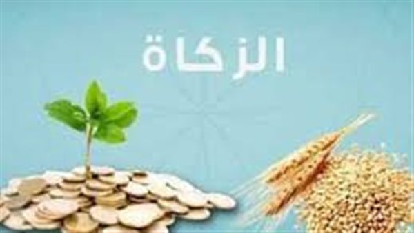 ما أسهل طريقة لحساب زكاة الزروع والثمار؟.. الإفتاء توضح