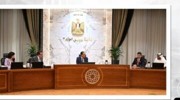تعرف على نشاط الحكومة فى أسبوع