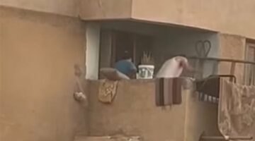 عاجل.. القبض على والدي الصغير المعتدى عليه في شرفة منزله بالعاشر من رمضان