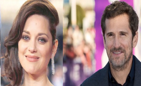 انفصال نجمي سينما الفرنسية ماريون كوتيّار وغيّوم كانيه