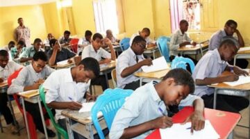 نتيجة الشهادة الإعدادية محافظة الجيزة 2025 بالاسم ورقم الجلوس.. رابط مباشر وخطوات الاستعلام