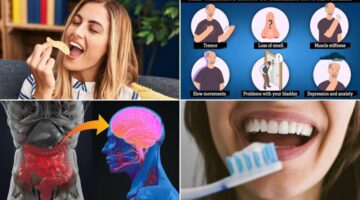 الأطعمة المصنّعة تُهدد دماغك.. دراسة تربطها بمرض باركنسون – أخبار السعودية