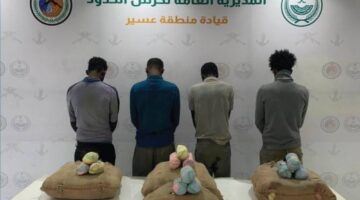 عسير: القبض على 4 مخالفين لتهريبهم 72 كيلوغراماً من القات – أخبار السعودية