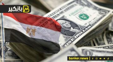 يا ترى مين أكتر ناس ساهموا في حل أزمة الدولار في مصر.. مفاجأة محدش يتوقعها