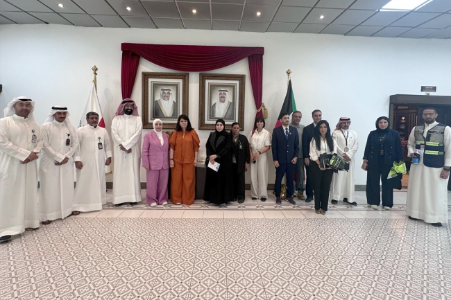 فريق عمل لمواجهة «اصطدامات الطيور» بالطائرات