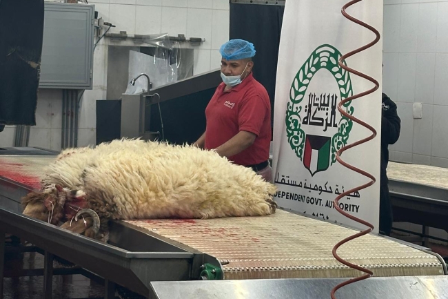 بيت الزكاة ينتهي من تنفيذ مشروع الأضاحي