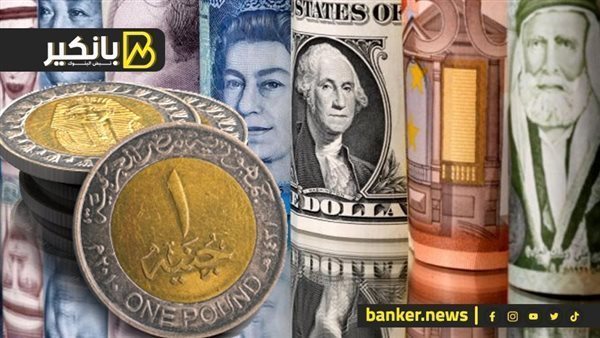أسعار العملات الأجنبية أمام الجنيه اليوم الثلاثاء 10-6-2025 في البنك المركزي المصري