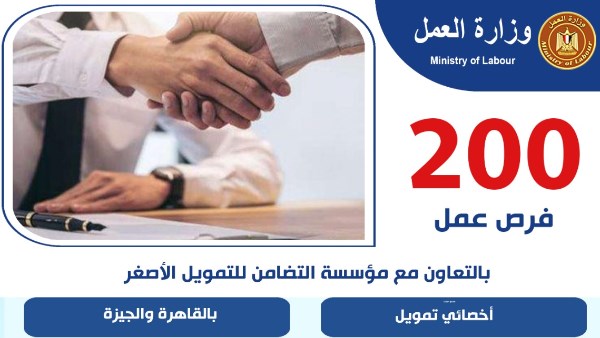 200 فرصة عمل لشباب القاهرة والجيزة.. مواعيد وأماكن التقديم