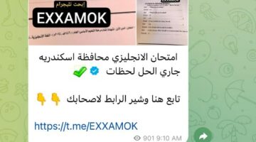 في يومها الأخير .. تداول امتحانات الشهادة الإعدادية على جروبات شاومينج بتليجرام