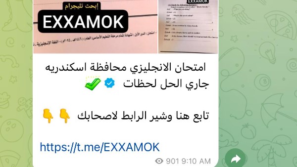 في يومها الأخير .. تداول امتحانات الشهادة الإعدادية على جروبات شاومينج بتليجرام