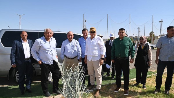 تعظيم إنتاجية الفدان بالوادي الجديد