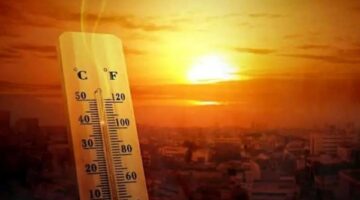درجات الحرارة غدا | شديد الحرارة صباحا معتدل ليلا