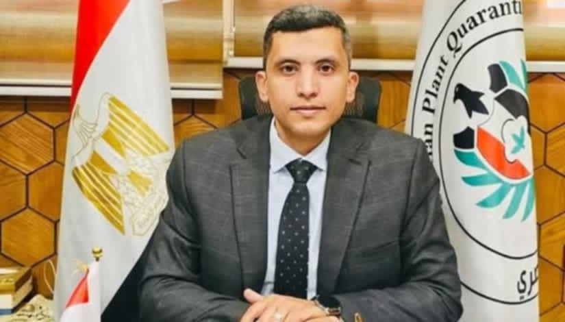 %31 نموًا فى صادرات البطاطس منذ بداية الموسم الحالى – وطني