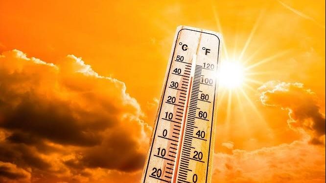 حالة الطقس غدا.. تحذير مهم من شبورة صباحية على الطرق الزراعية والسريعة