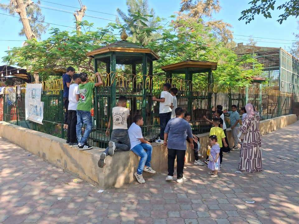 حدائق الحيوان الإقليمية والأسماك بالزمالك استقبلت أكثر من 38 ألف زائر خلال أول يومين للعيد