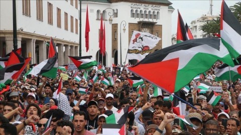 في 60 مدينة.. هيئة مغربية تنظم 100 مظاهرة تضامنا مع غزة
