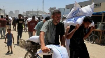 تقرير أممي يفضح ممارسات وجرائم الجيش الإسرائيلي بحق الجوعى ومنتظري المساعدات في غزة ويكشف عن أرقام صادمة للشهداء