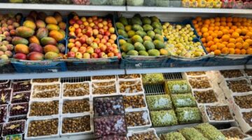 بساتين الطائف.. تمطر الأسواق والسياح بالتين وشتلات الترنج – أخبار السعودية