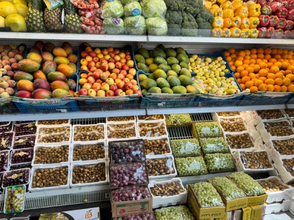 بساتين الطائف.. تمطر الأسواق والسياح بالتين وشتلات الترنج – أخبار السعودية