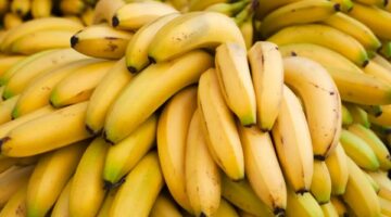وجبة خفيفة تشحن طاقتك .. أهمية تناول الموز يوميًا