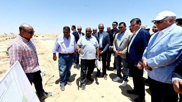 نجاح تجربة تحلية مياه البحر بالعلمين يفتح آفاقًا جديدة للاستثمار