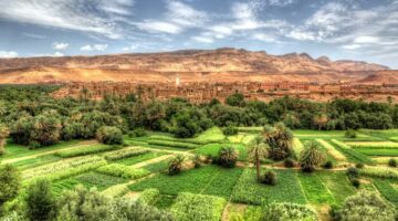 ✓ مجلس النواب يصادق على تعديل قانون الوكالة الوطنية للمياه والغابات