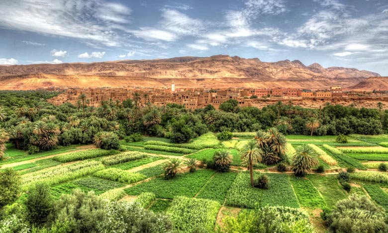 ✓ مجلس النواب يصادق على تعديل قانون الوكالة الوطنية للمياه والغابات